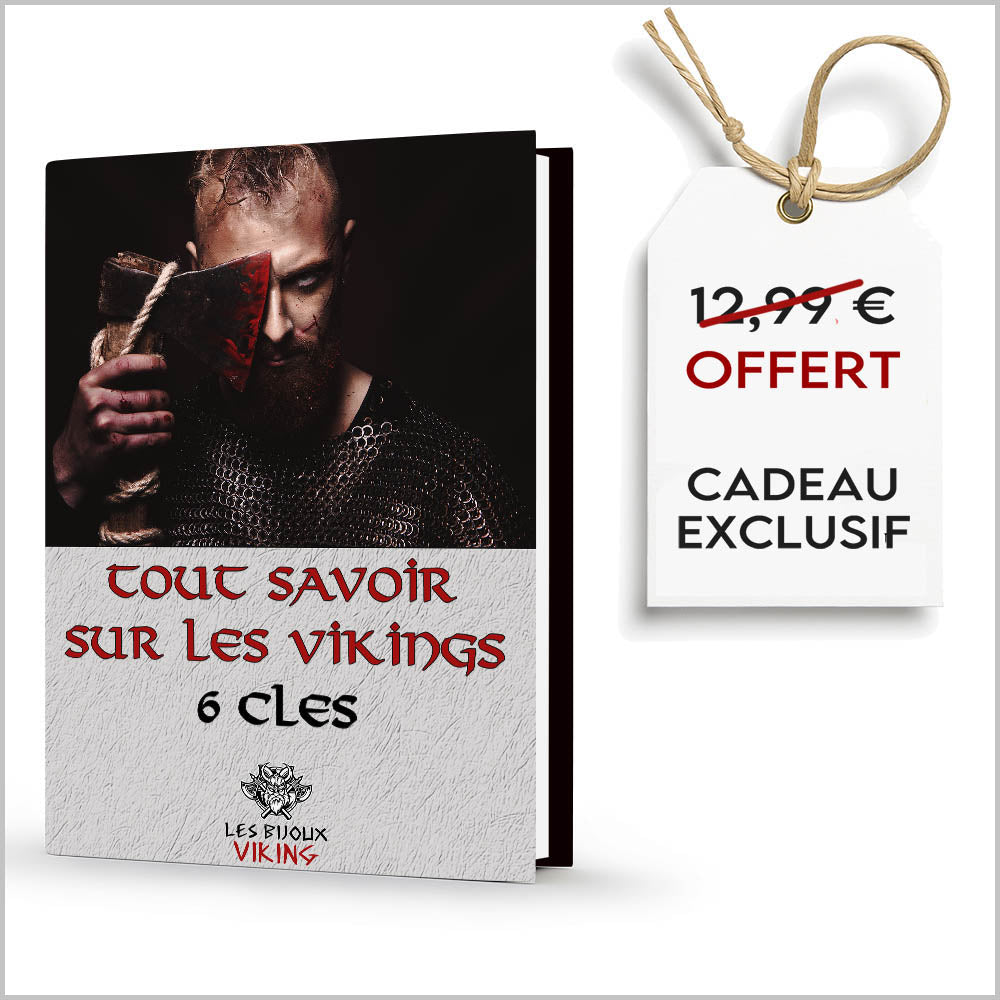 Ebook Prestige : 6 Clés pour Tout Savoir sur les Vikings