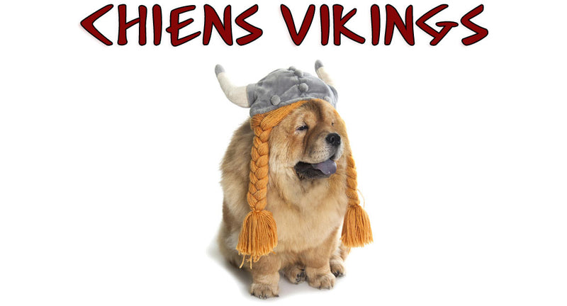 Chiens Viking